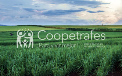 Conoce un poco de nuestra historia  COOPETRAFES